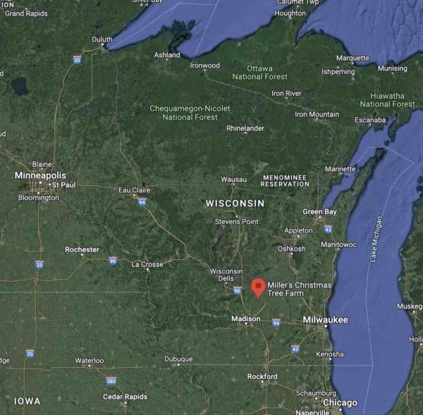 Miller's Christmas Tree Farm