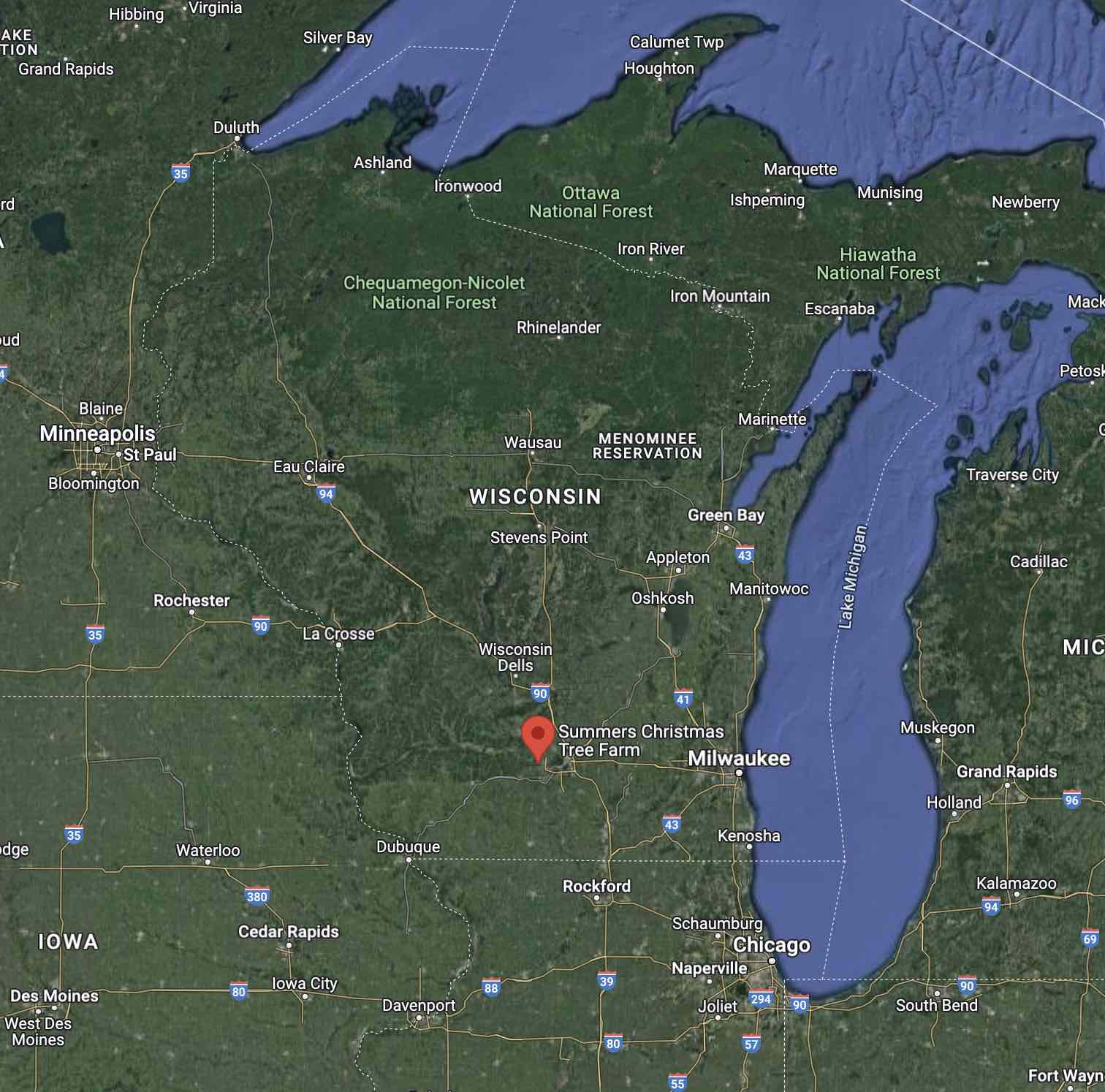 15 Christmas Tree Farms in Wisconsin Where You Can Cut Your Own Tree