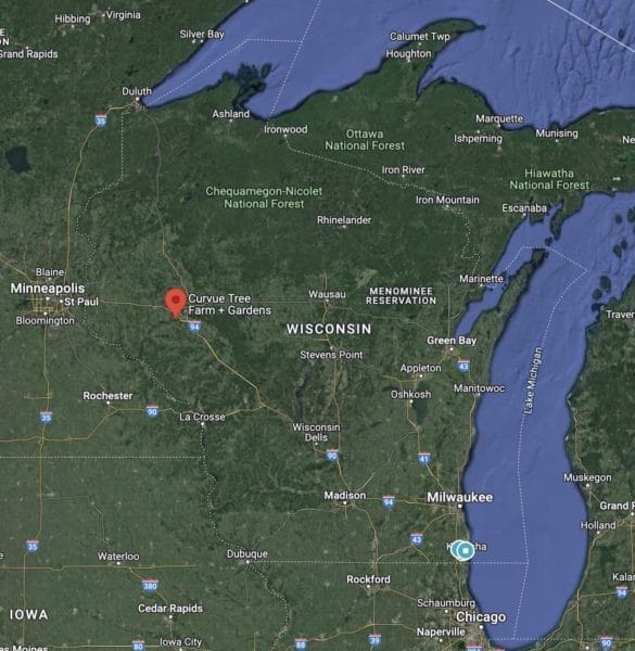 Curvue Tree Farm and Gardens map location