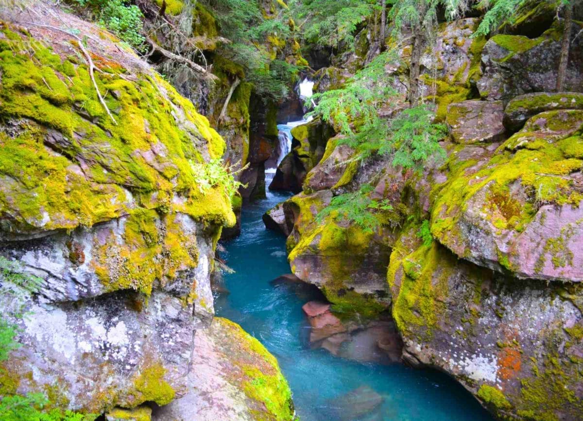 Waterfall on the Trail Of the Cedars hike