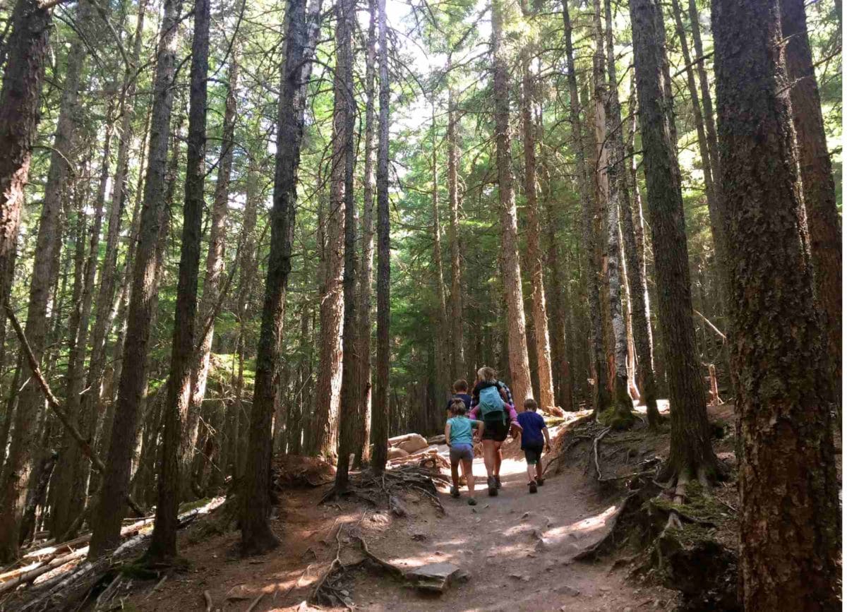 Hiking to Avalanche Lake in Glacier National Park