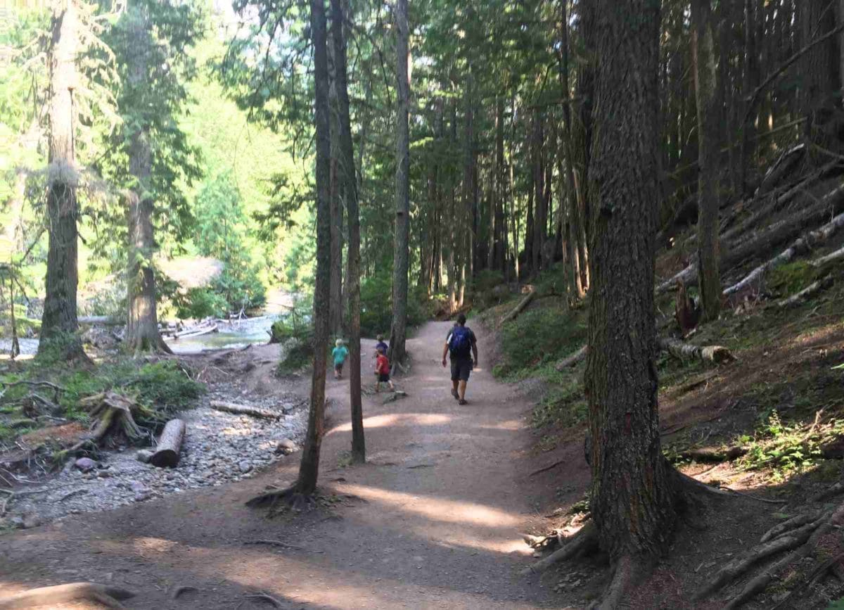 Hiking to Avalanche Lake Glacier National Park