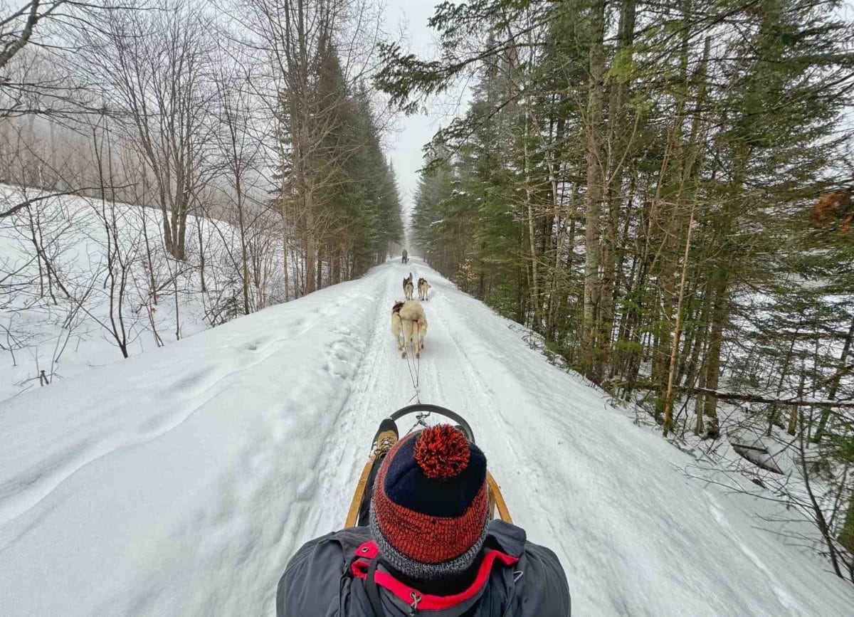 Carson dog sledding! One of our favorite things to do in Quebec City with kids!