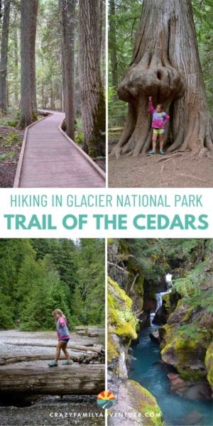 Hiking the trail of the cedars in Glacier National park is a must do and a top thing to do in Glacier National Park. It is also one of our favorite short Glacier hikes. Add it to your summer travel bucket list!