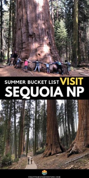 Get tips on how to plan the Ultimate summer bucket list trip to Sequoia National Park with kids! Sequoia located in California is a beautiful destination to explore & should be on your National Park road trip list. Come get tips & ideas on things to do in the park and where to stay - including camping. From hikes to the epic views you are going to love visiting for 1 to 2 days. Get started now on planning your summer USA road trip itinerary. to this top family travel place to visit in the USA!