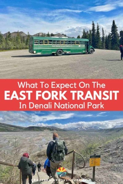 Everything you want to do know about riding the East Fork Transit bus when you visit Denali National Park! Should you take a tour or just get on the transit bus? We answer that for you! What can you expect on the bus - we cover that too! 