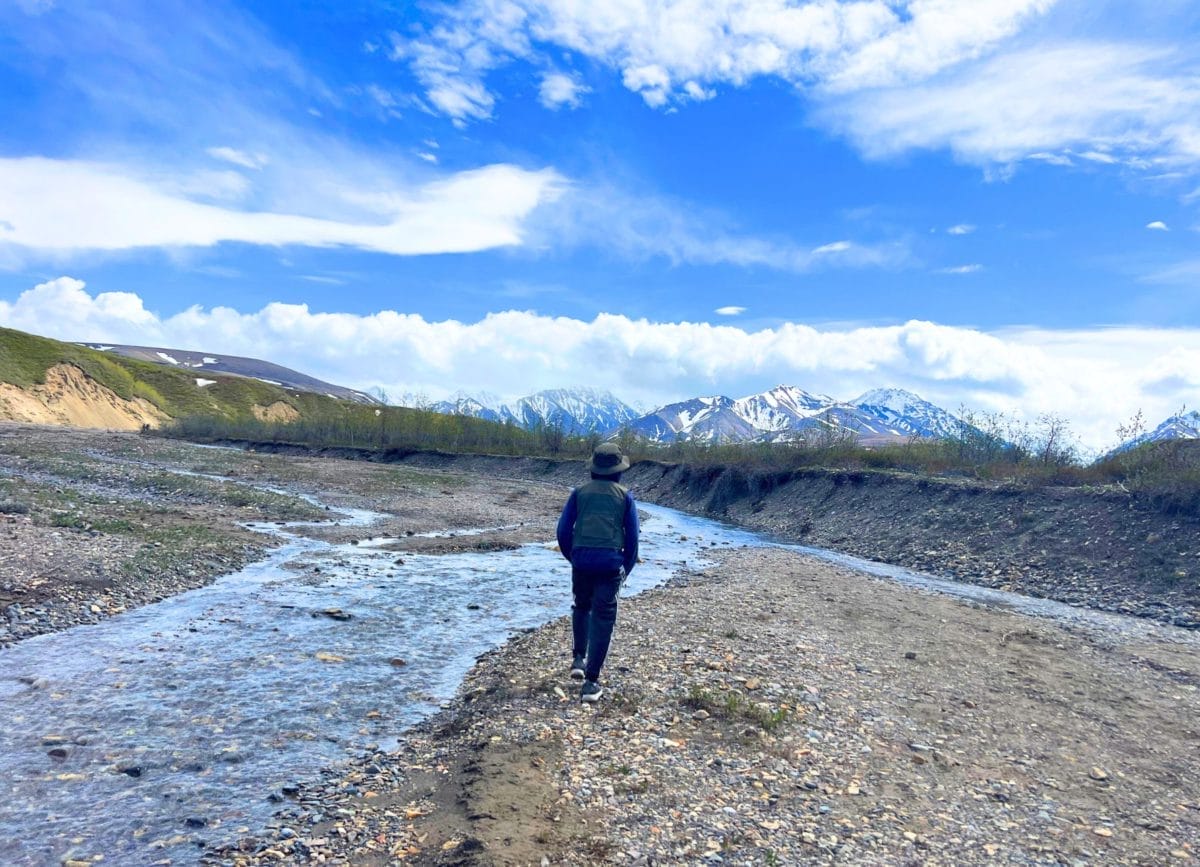 Knox hiking at the East Fork Area