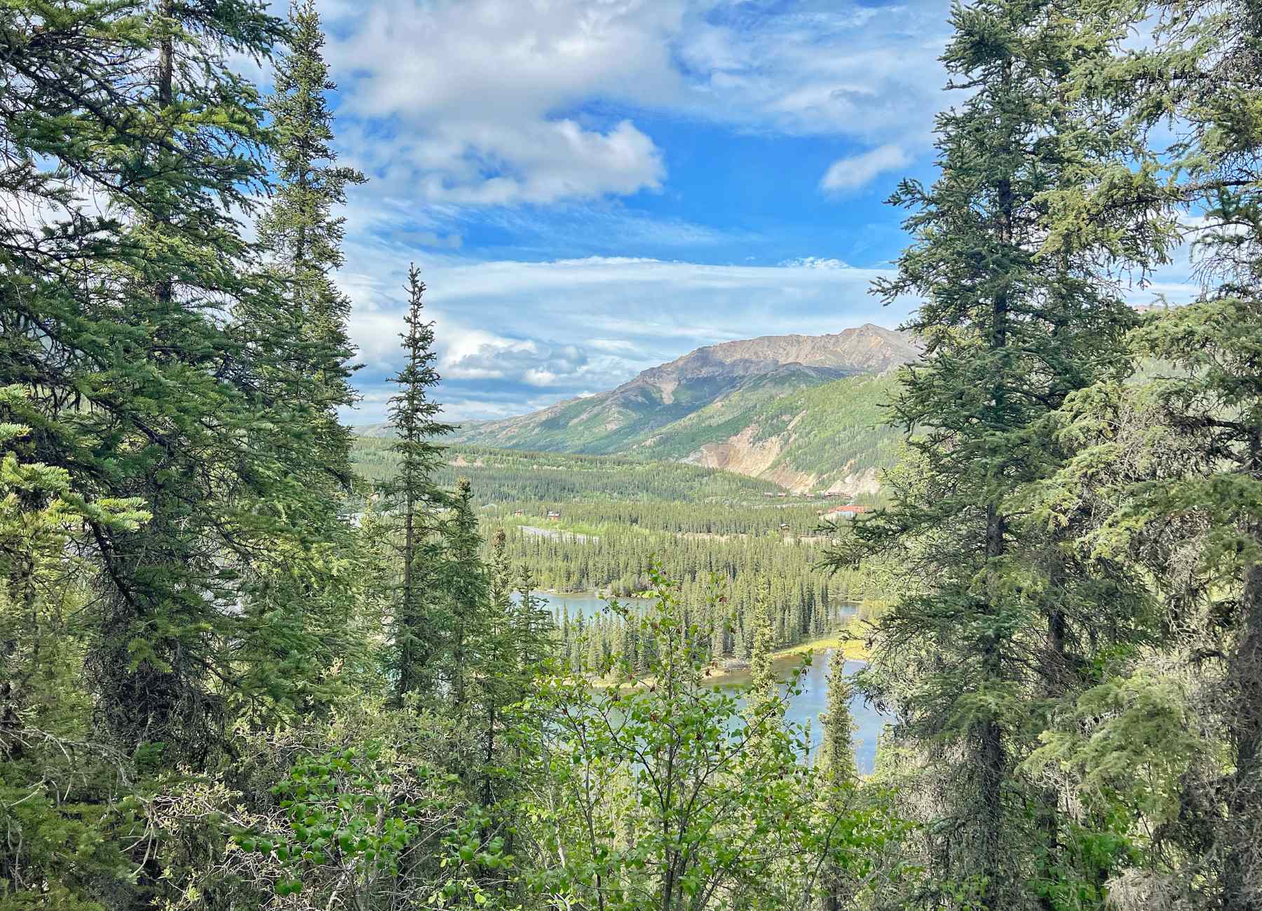 Visiting Denali National Park With Kids
