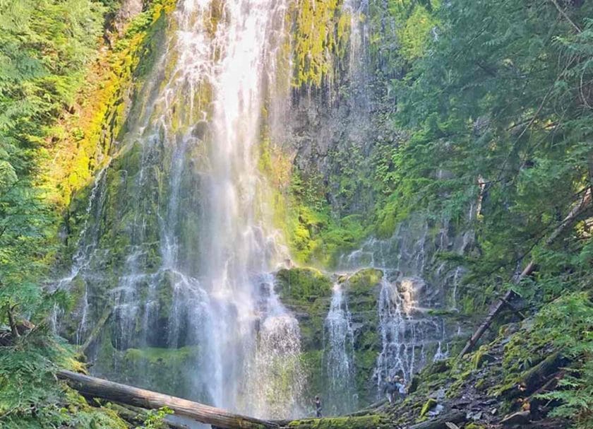 Picture of a waterfall in Oregon