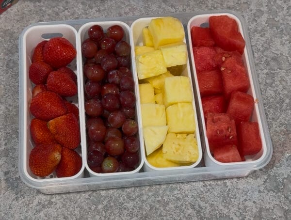 Portable Divider Trays - Image 3